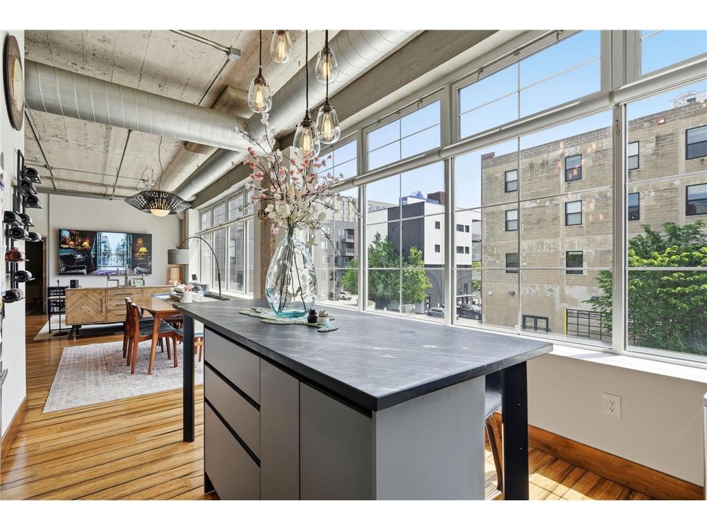 918 N 3rd Street #201 Minneapolis MN 55401 7078483 image18
