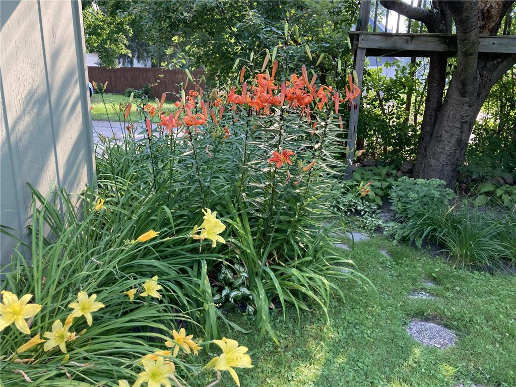 918 NW 3rd Avenue Grand Rapids MN 55744 7059251 image59