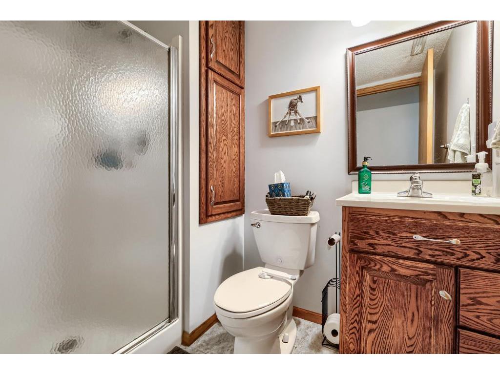 9182 Jergen Bay S Cottage Grove MN 55016 7093144 image21