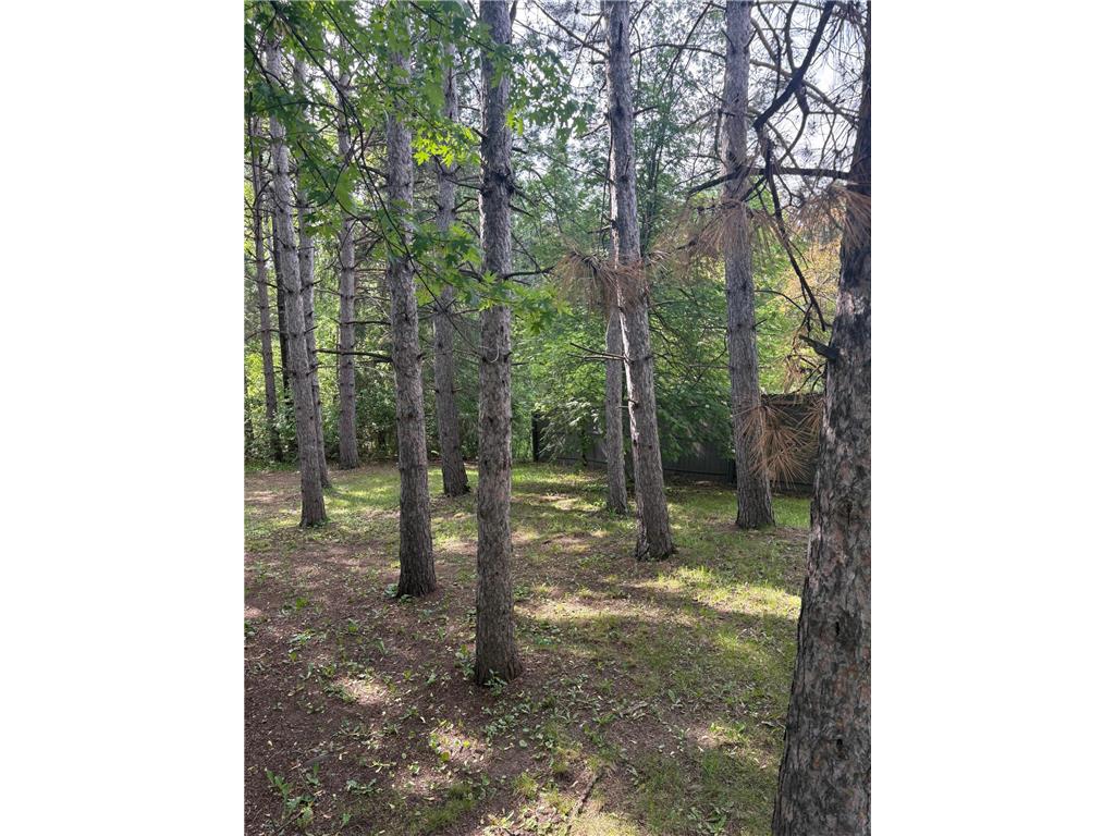 919 8th Street Cloquet MN 55720 7089423 image23
