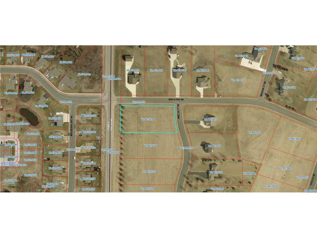 919 Amelia Court NE Montgomery MN 56069 6693030 image2