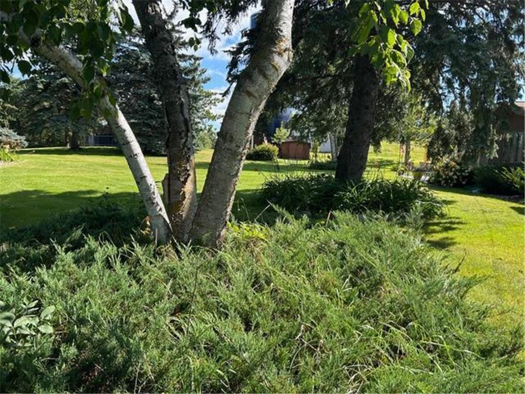 919 N Main Street Starbuck MN 56381 6785451 image18