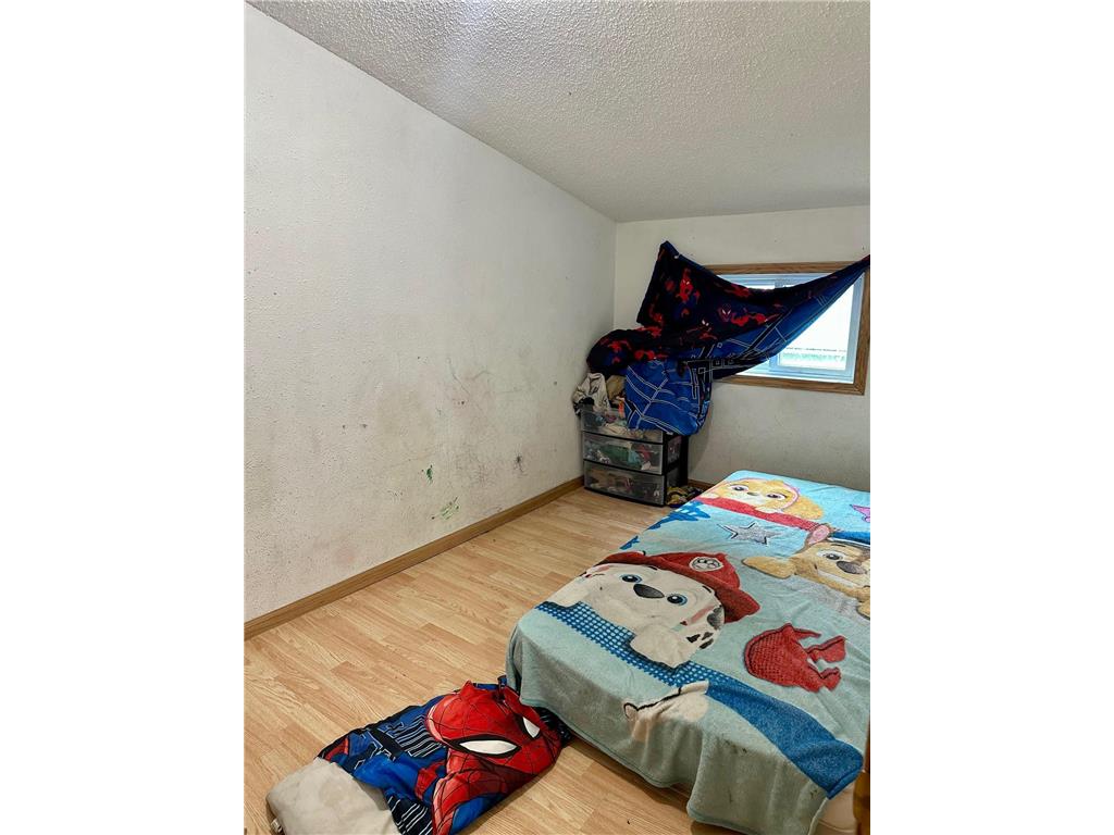 919 W Front Street Albert Lea MN 56007 6766237 image11