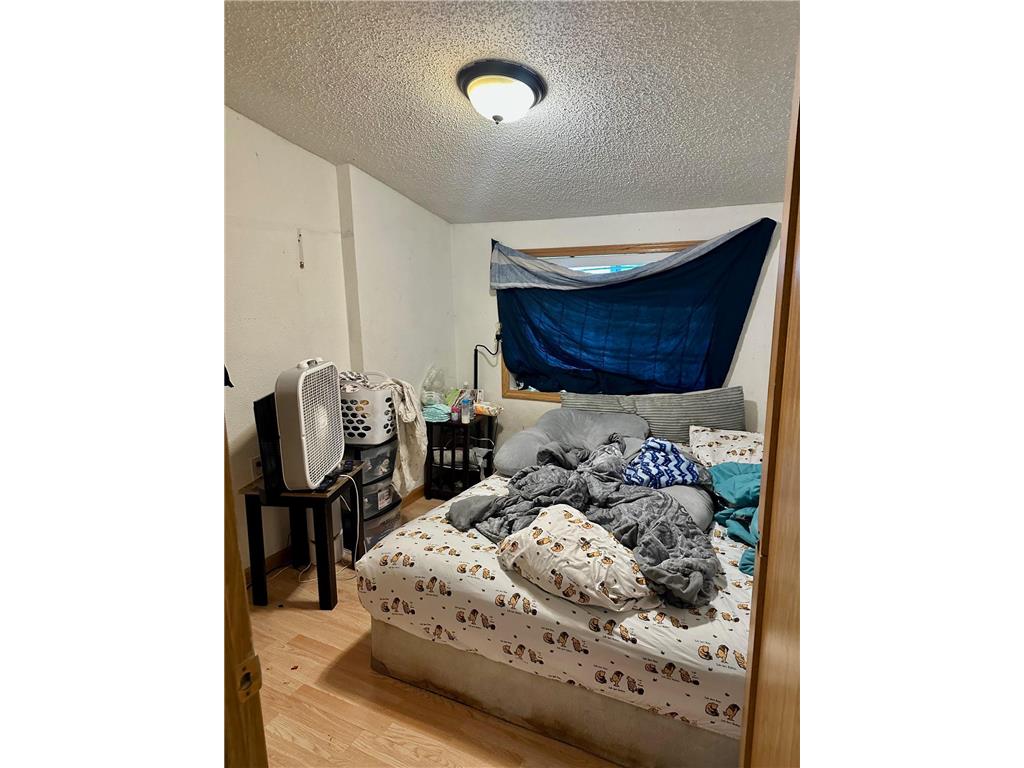 919 W Front Street Albert Lea MN 56007 6766237 image12