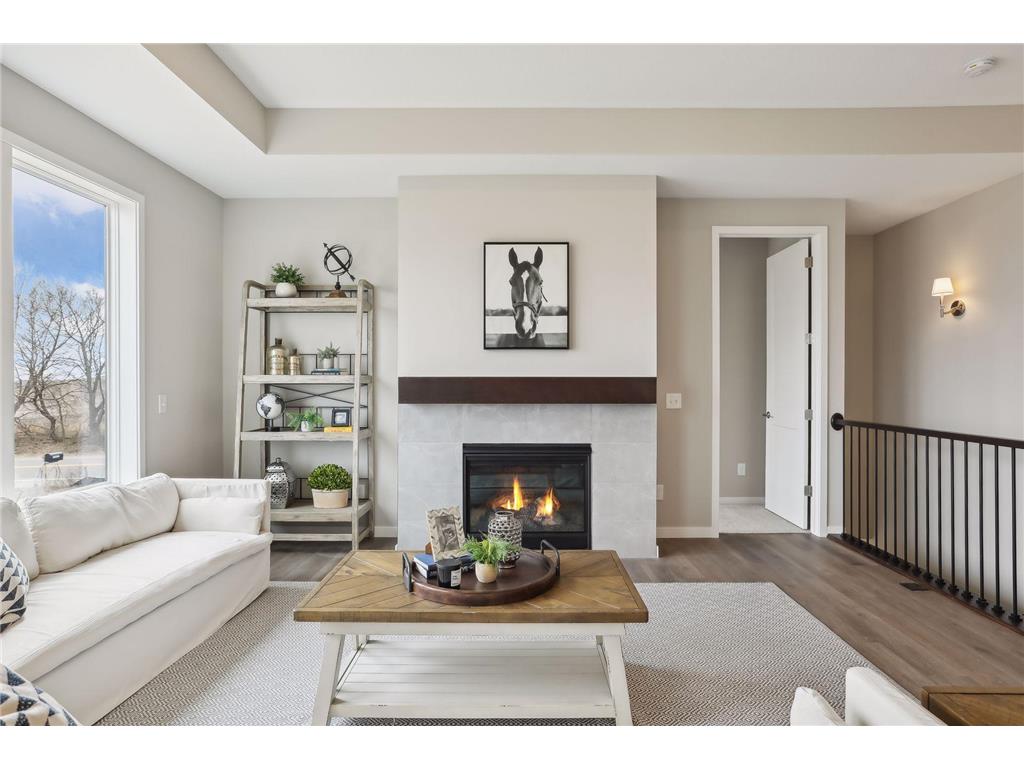 9195 62nd Street S Cottage Grove MN 55016 6512339 image1