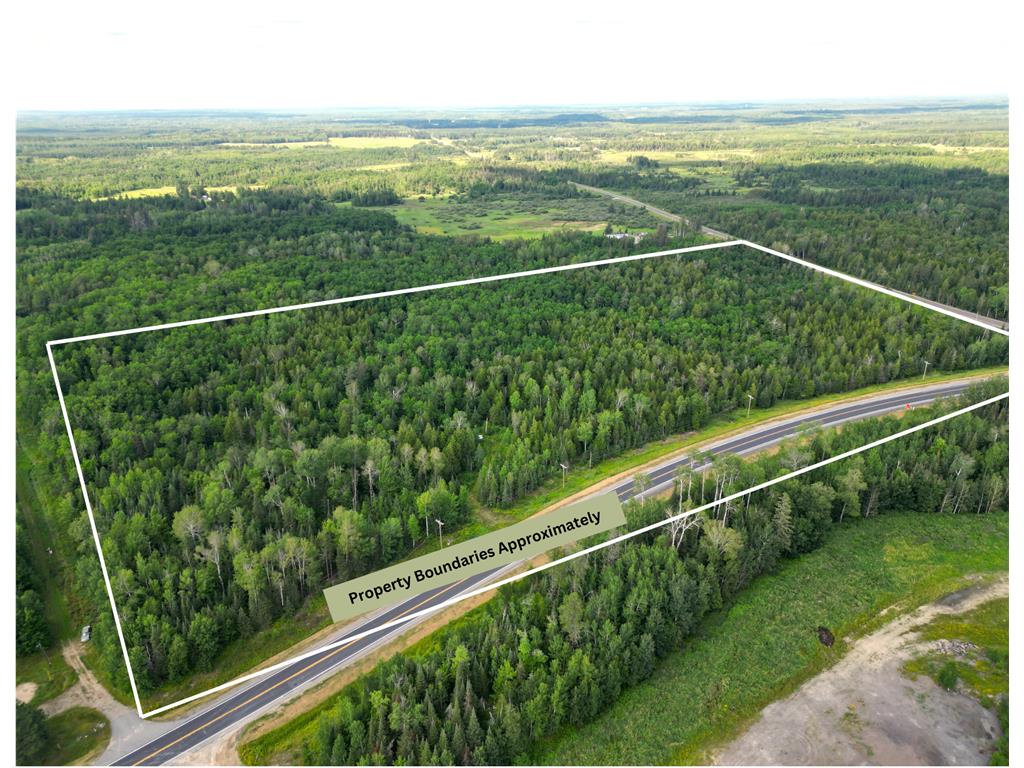 9195 Samuelson Road Angora MN 55703 6573901 image1