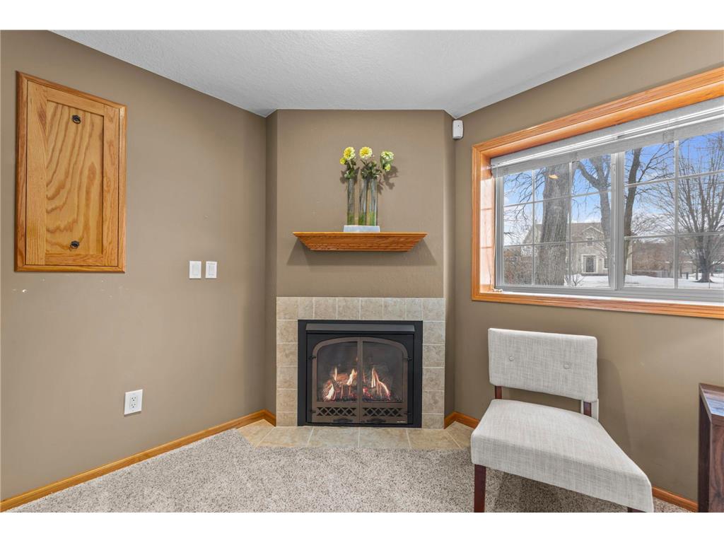 9197 Alamo Street NE Blaine MN 55449 7008447 image36