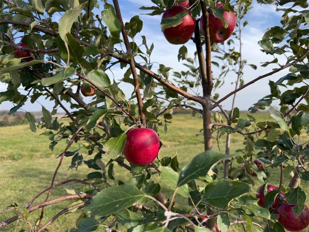 920 Amelia Court NE Montgomery MN 56069 6805688 image17