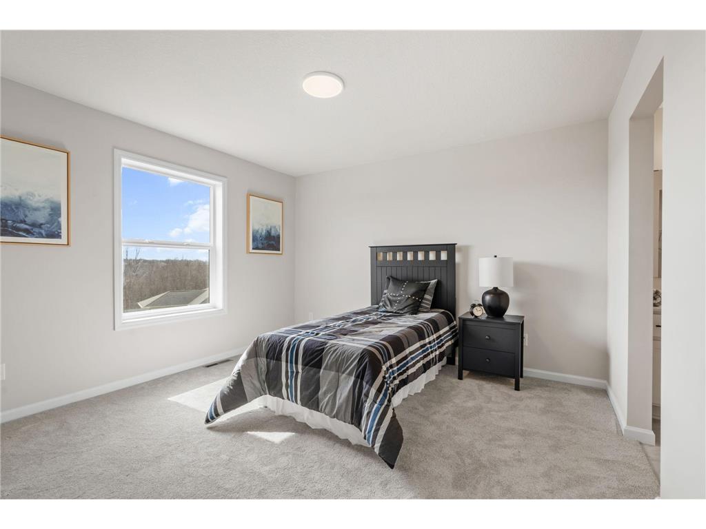 920 Buffalo Street NW Delano MN 55328 7069672 image24