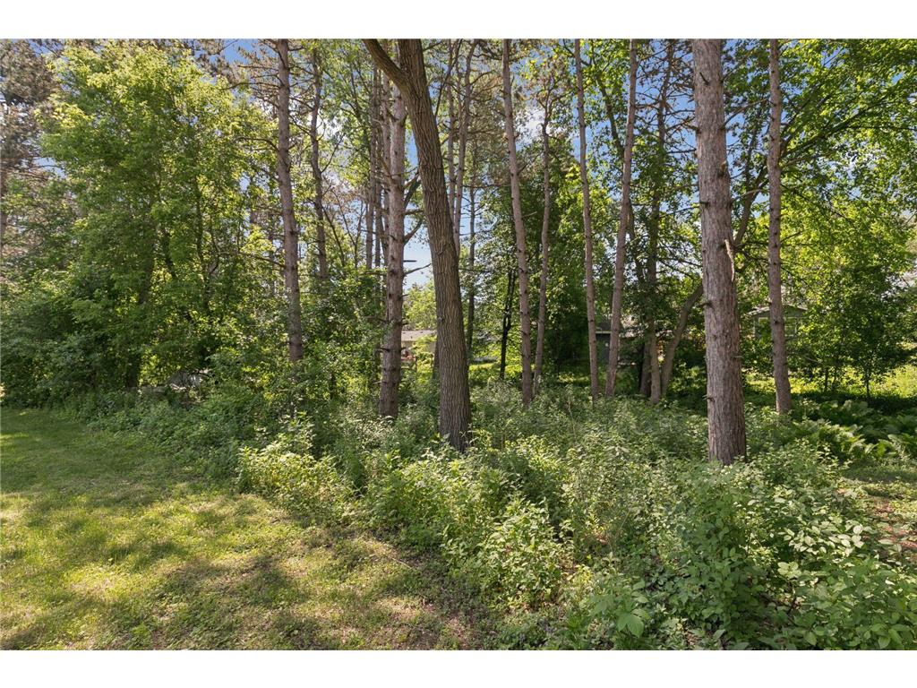 920 Krattley Lane N North Hudson WI 54016 7081941 image7