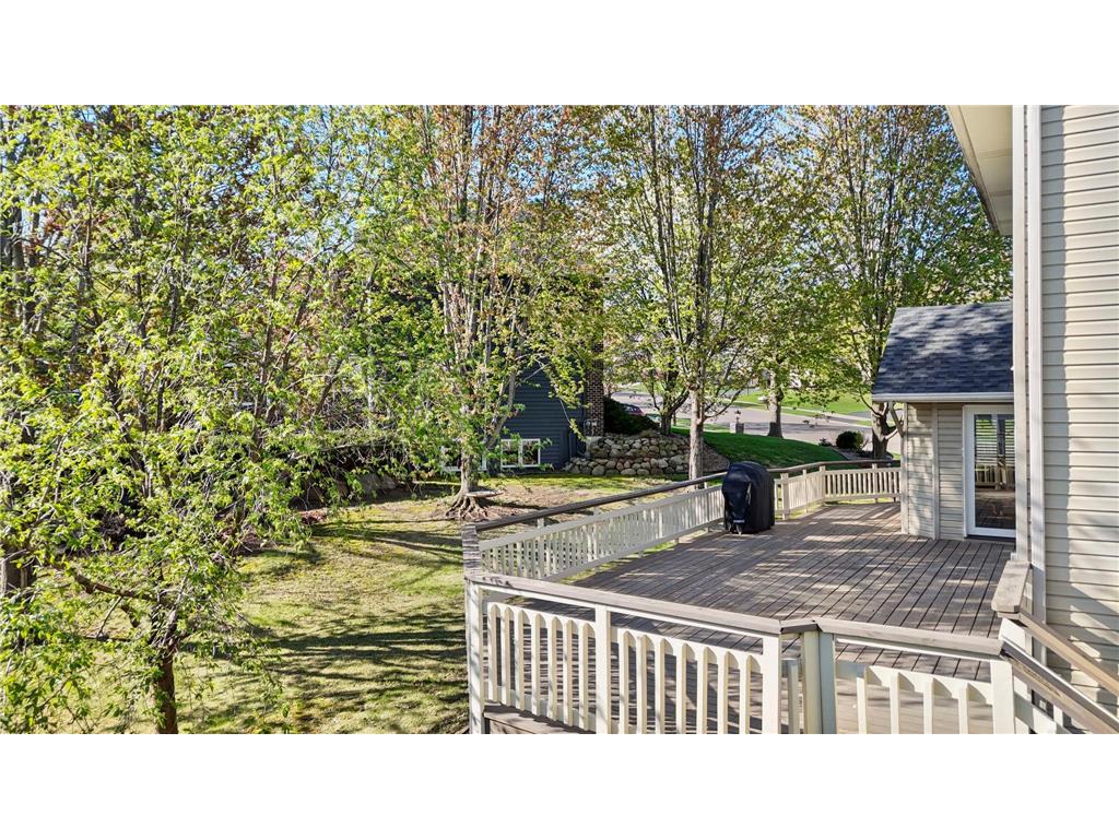 9214 161st Street W Lakeville MN 55044 7036943 image33