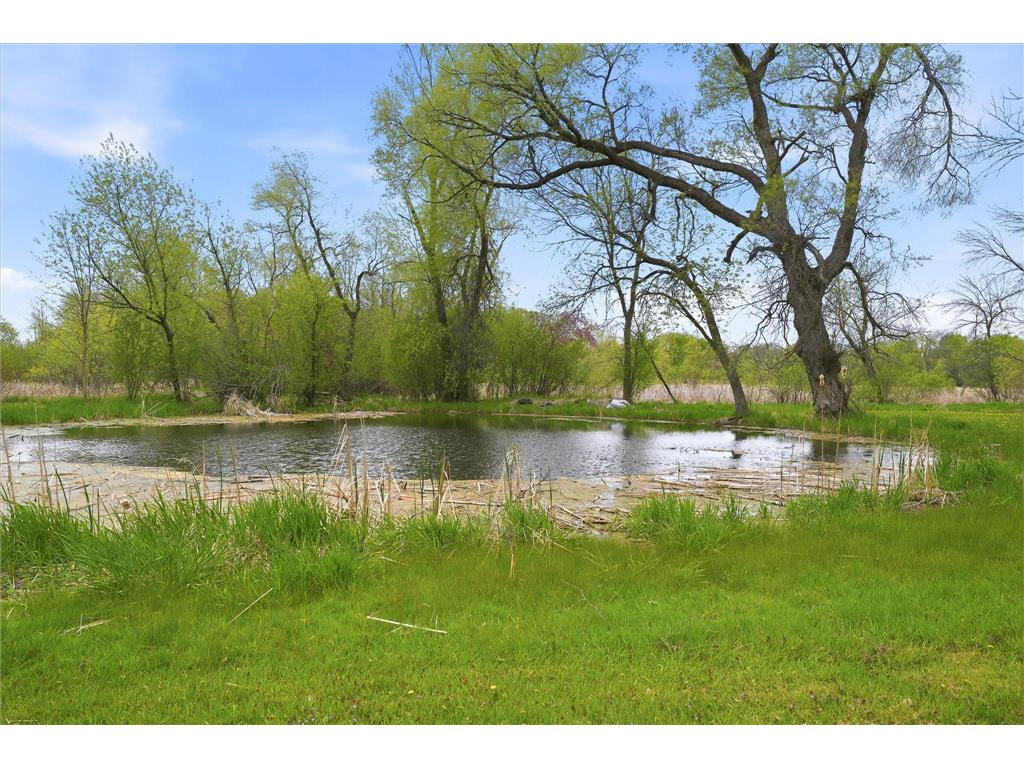 9215 Shannon Lane Corcoran MN 55340 7073660 image4