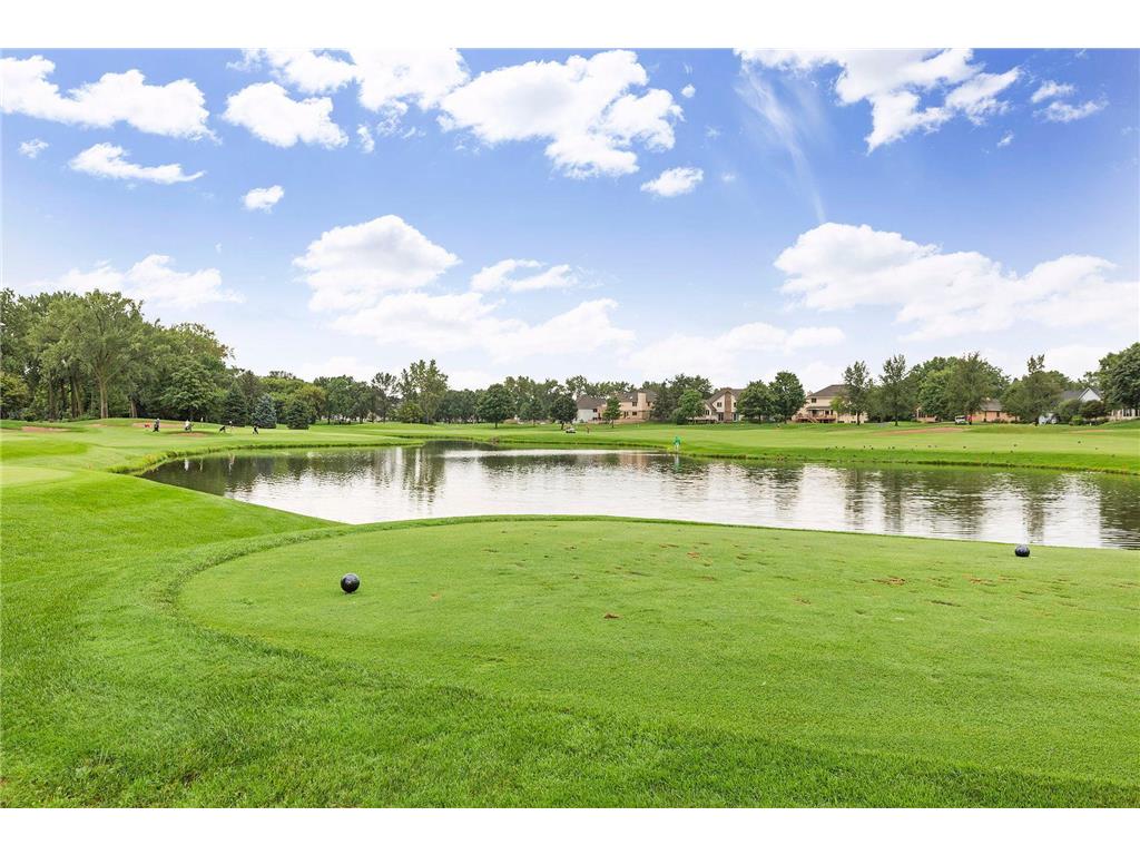 9217 W River Road Brooklyn Park MN 55444 7019159 image59