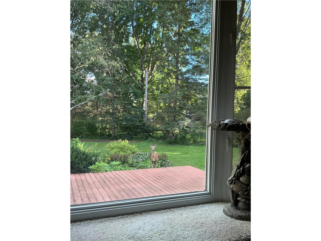 922 248th Street Osceola WI 54020 6777888 image34