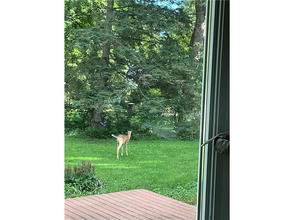 922 248th Street Osceola WI 54020 6777888 image35