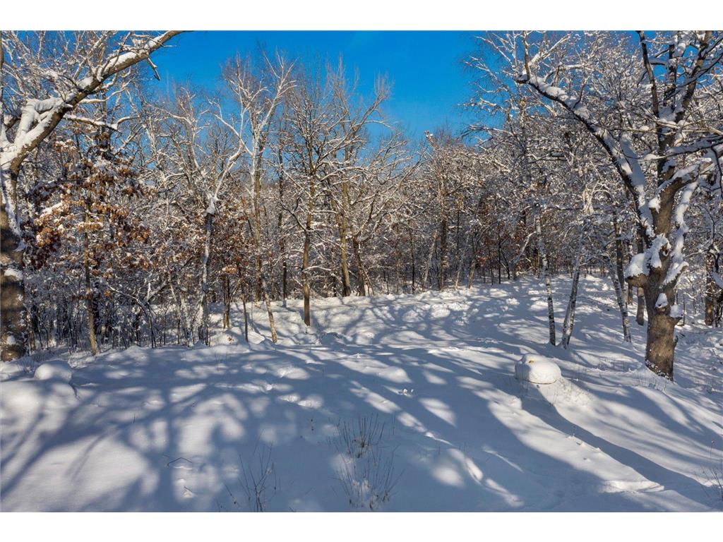 9225 63rd Street N Grant MN 55082 6319551 image1