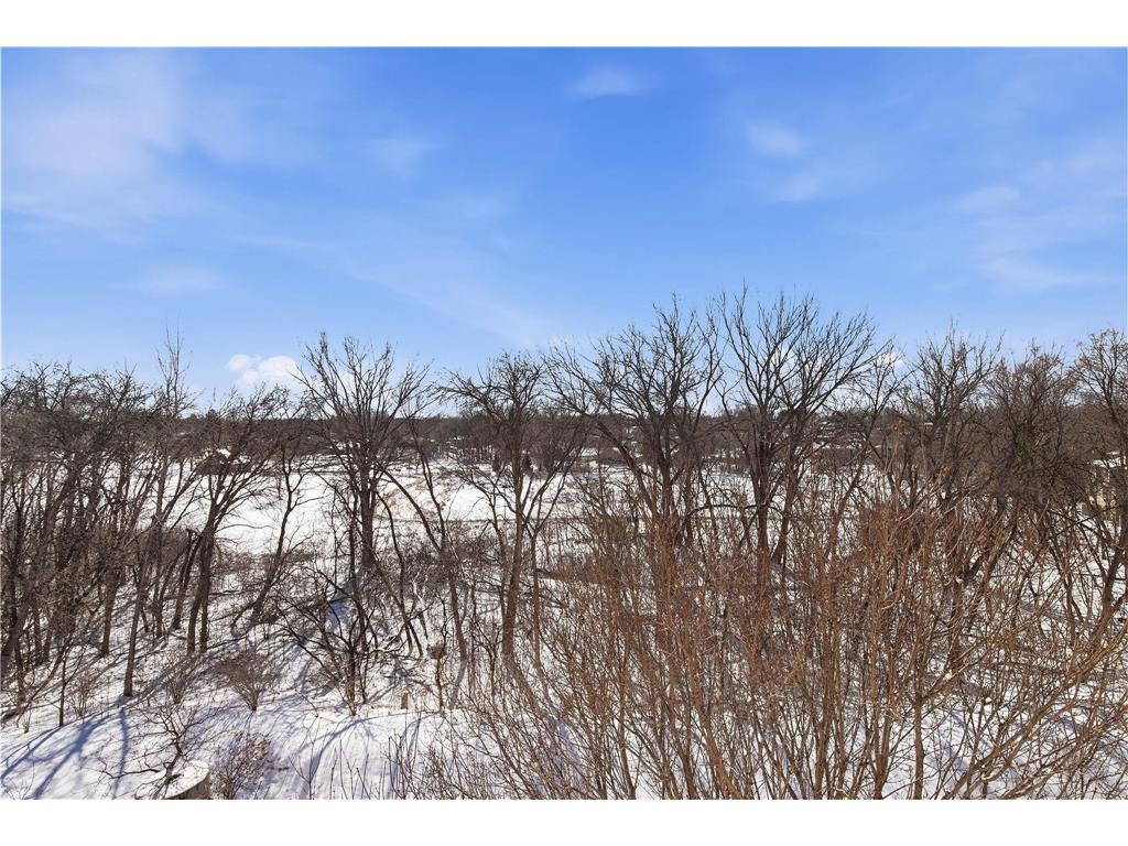 9225 Medicine Lake Road #309B Golden Valley MN 55427 7024997 image27
