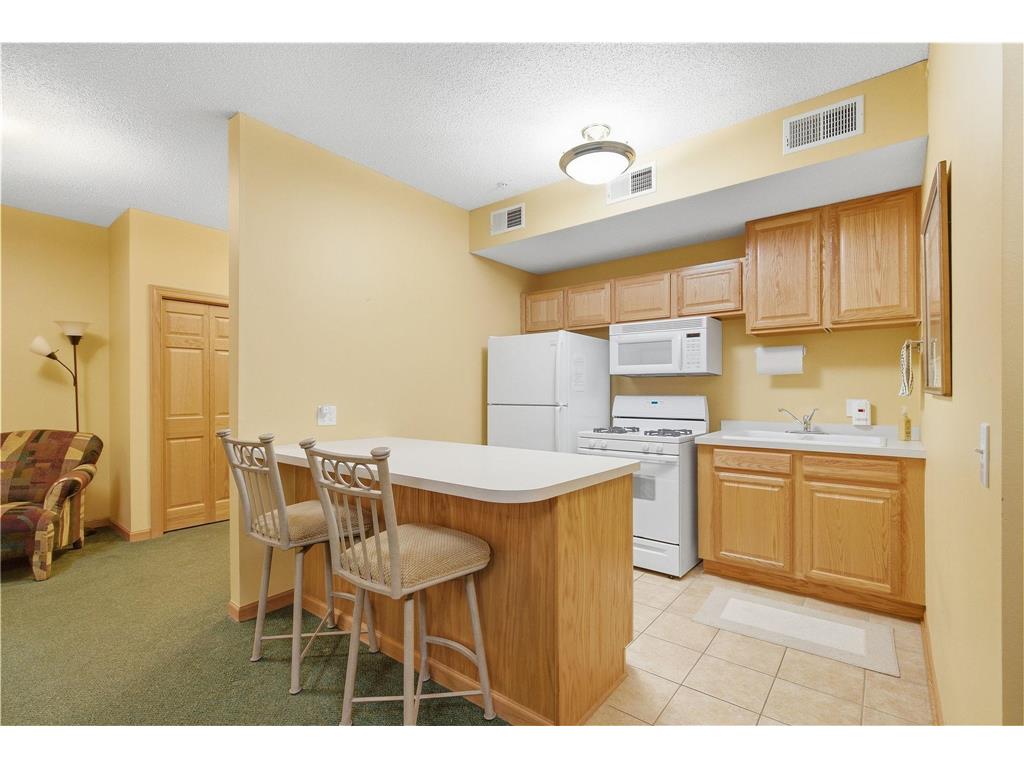 9225 Medicine Lake Road #309B Golden Valley MN 55427 7024997 image31