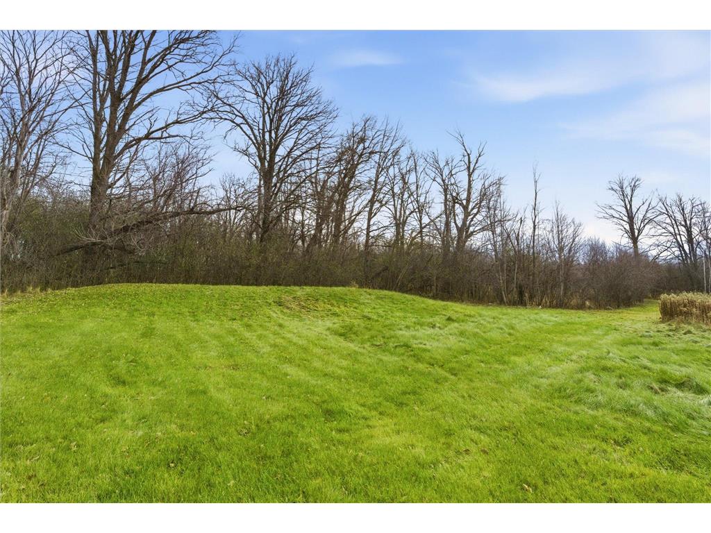 9233 140th Street Borgholm Twp MN 56353 6799791 image12