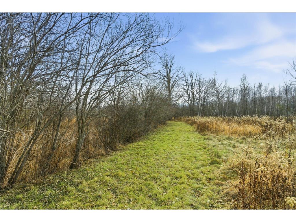 9233 140th Street Borgholm Twp MN 56353 6799791 image13