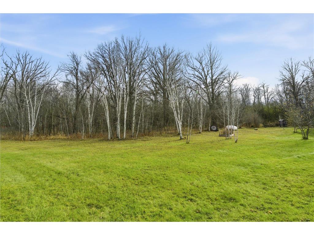9233 140th Street Borgholm Twp MN 56353 6799791 image5