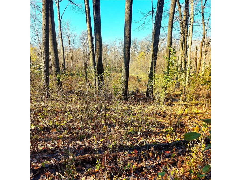 924 Sunflower Amery WI 54001 6459060 image1