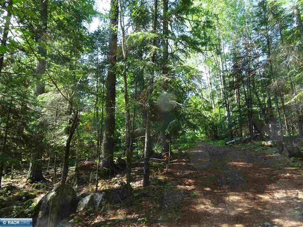 9245 Burris Drive Cook MN 55723 - Elbow Lake 7032568 image23