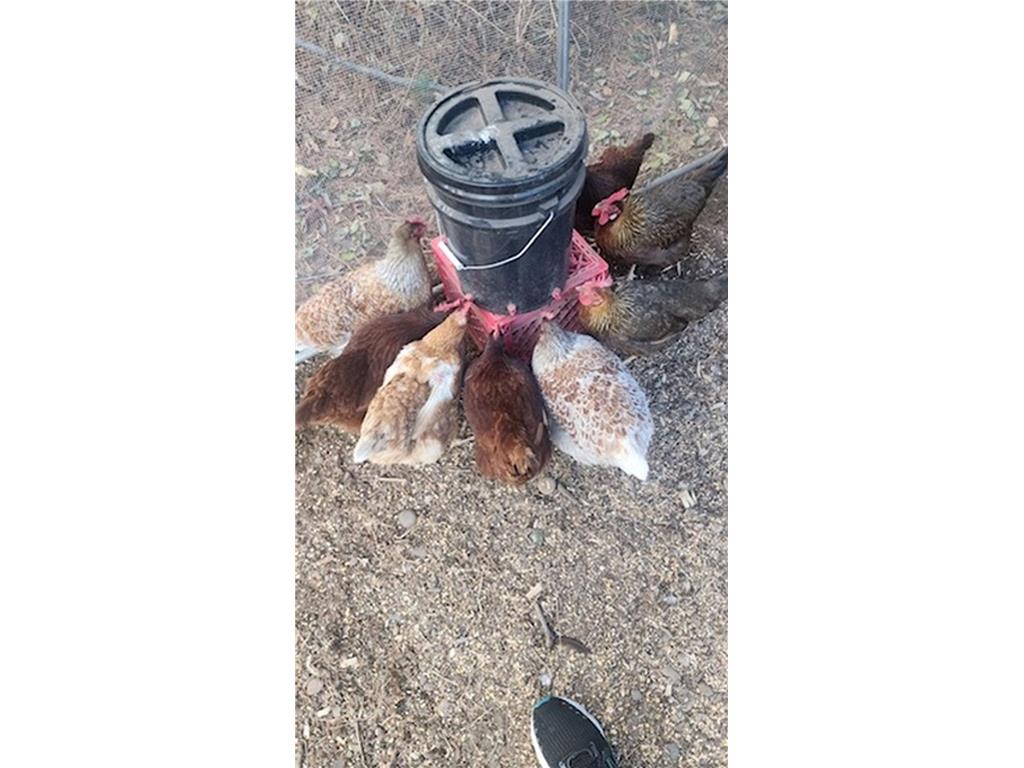 925 14th Street Cloquet MN 55720 7019091 image46