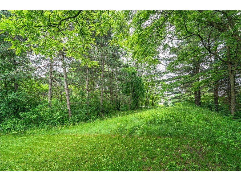 925 Constance Boulevard NE Ham Lake MN 55304 - Sand Creek 7089342 image77