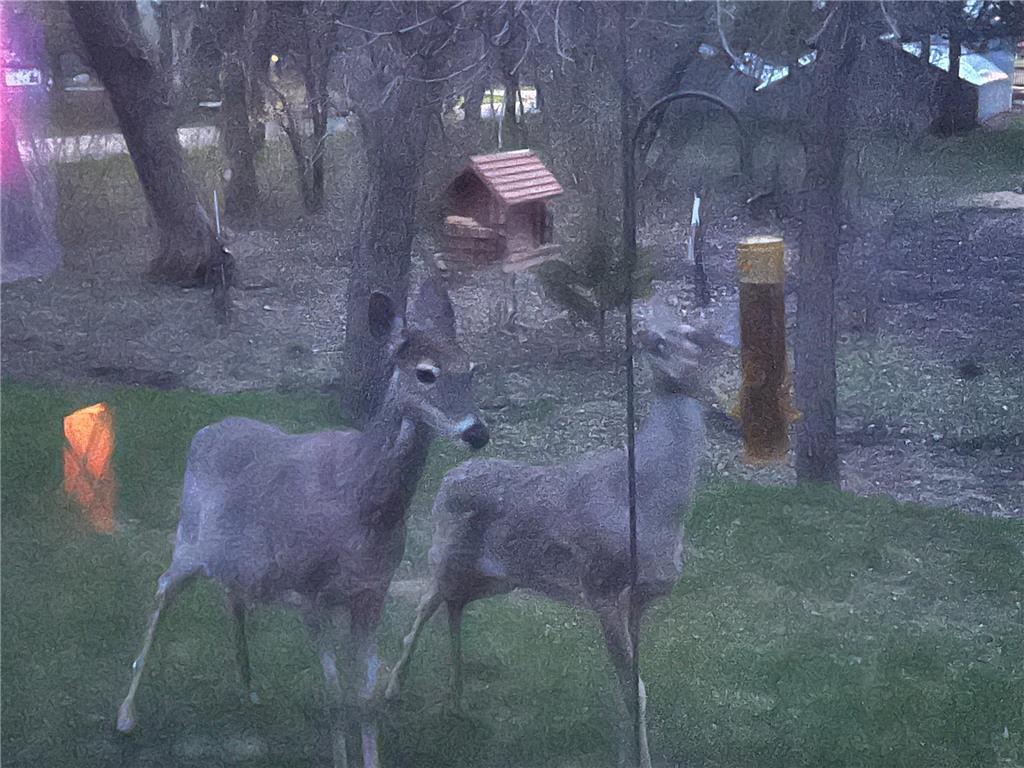 925 E Cavour Avenue Fergus Falls MN 56537 7028385 image25