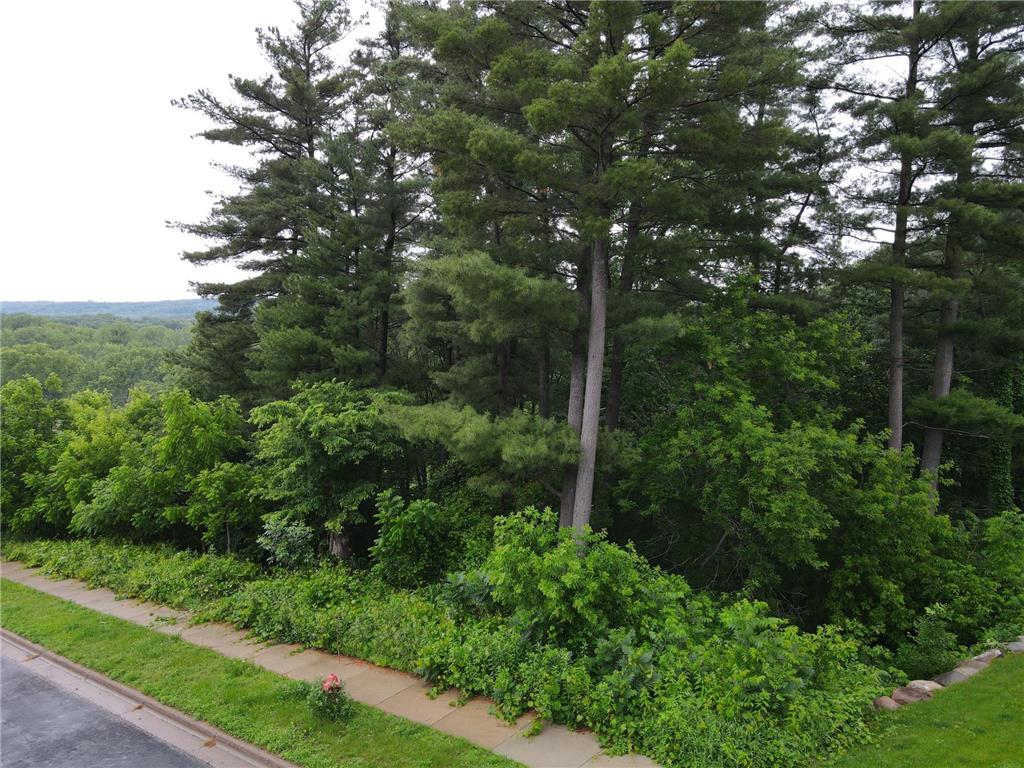 925 Riverview Lane Belle Plaine MN 56011 6741023 image5