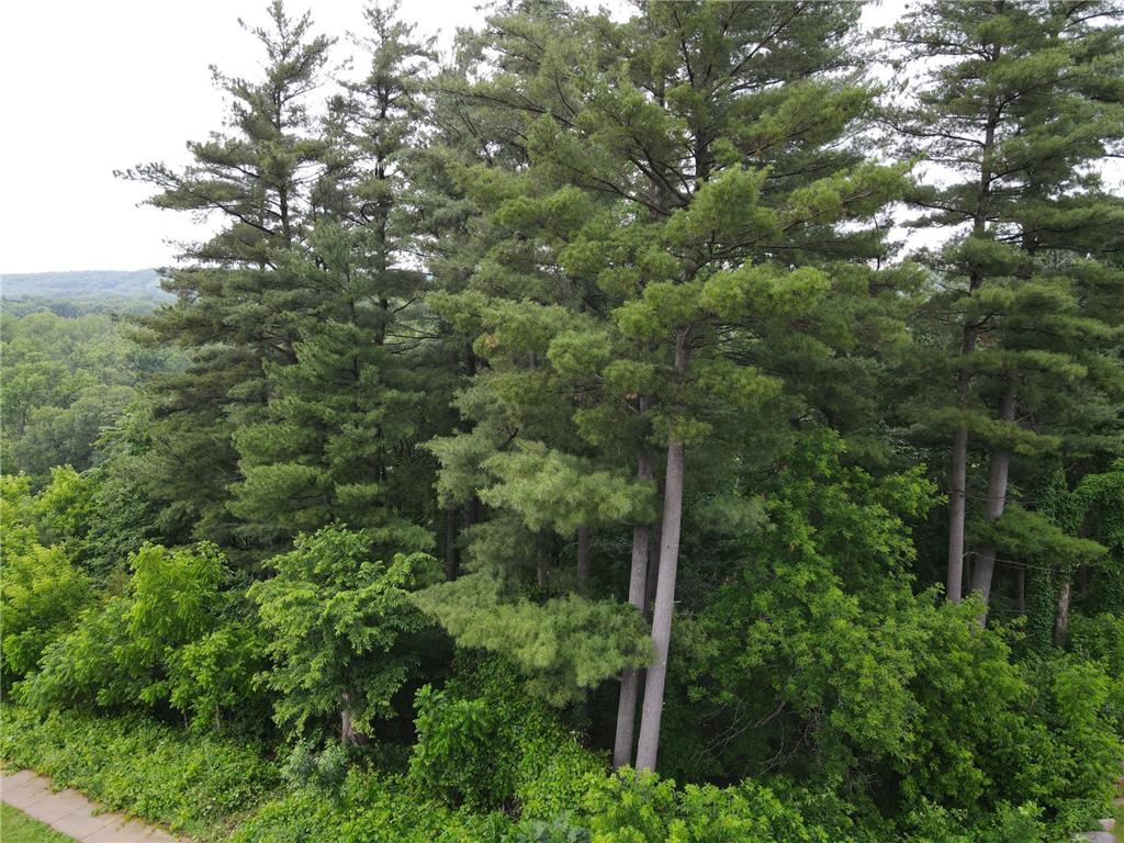 925 Riverview Lane Belle Plaine MN 56011 6741023 image6