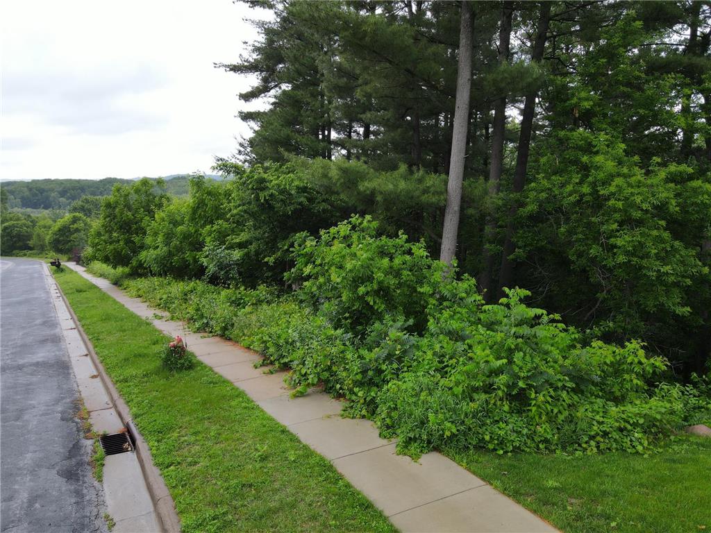 925 Riverview Lane Belle Plaine MN 56011 6741023 image8