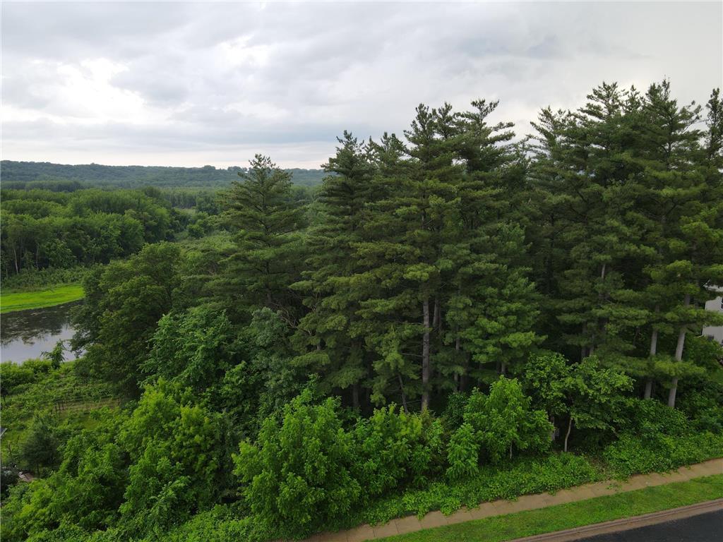 925 Riverview Lane Belle Plaine MN 56011 6741023 image9