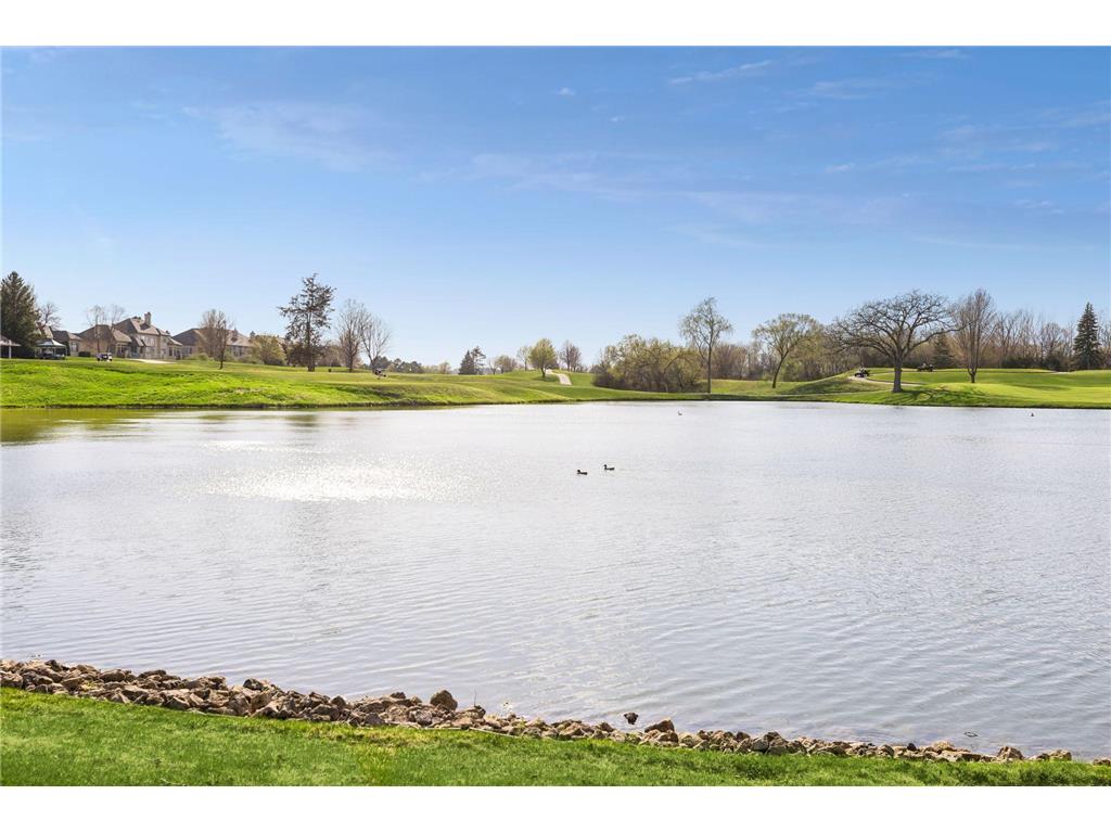 9250 Breckenridge Lane Eden Prairie MN 55347 7054481 image65