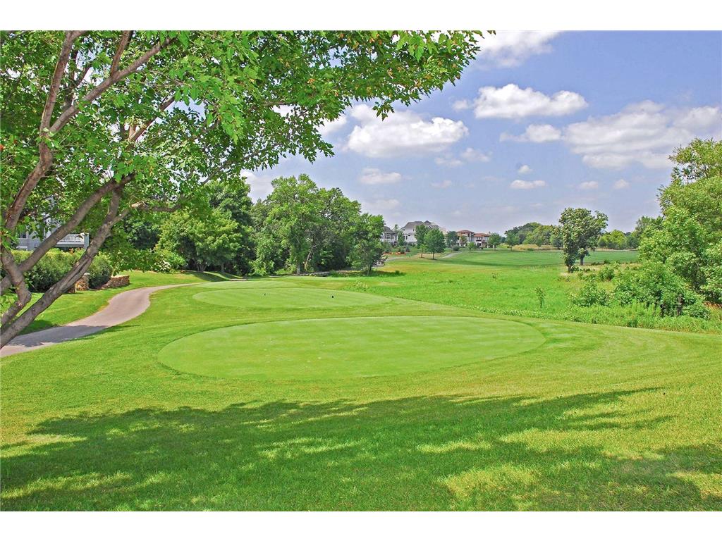 9250 Breckenridge Lane Eden Prairie MN 55347 7054481 image78
