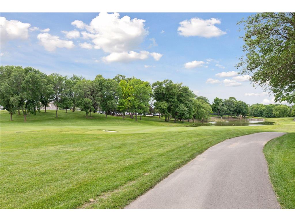 9250 Breckenridge Lane Eden Prairie MN 55347 7054481 image83