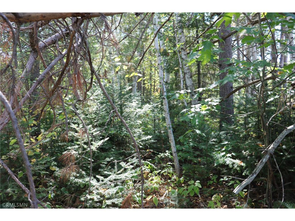 92500 Old Hwy 23 Nickerson Twp MN 55749 6607234 image1