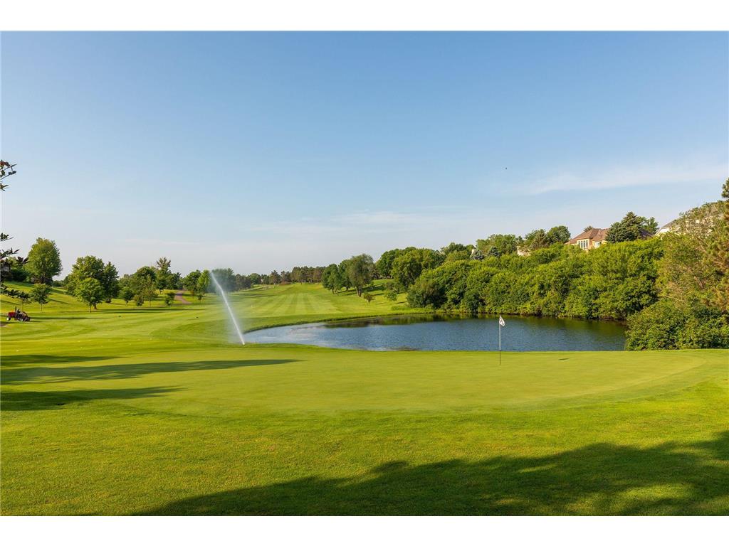 9251 Wedgewood Point Woodbury MN 55125 7068574 image100