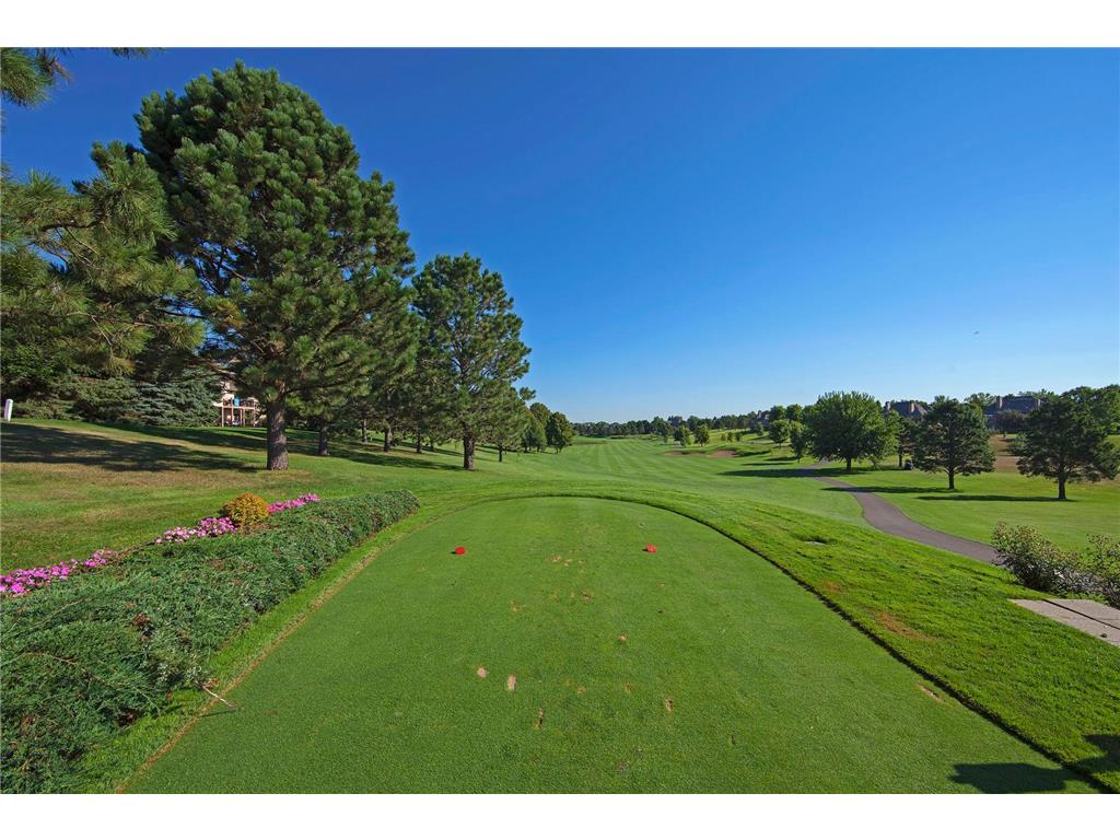 9251 Wedgewood Point Woodbury MN 55125 7068574 image103