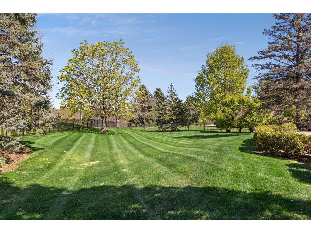 9251 Wedgewood Point Woodbury MN 55125 7068574 image71