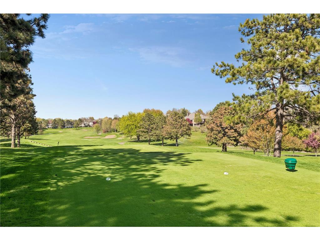 9251 Wedgewood Point Woodbury MN 55125 7068574 image82