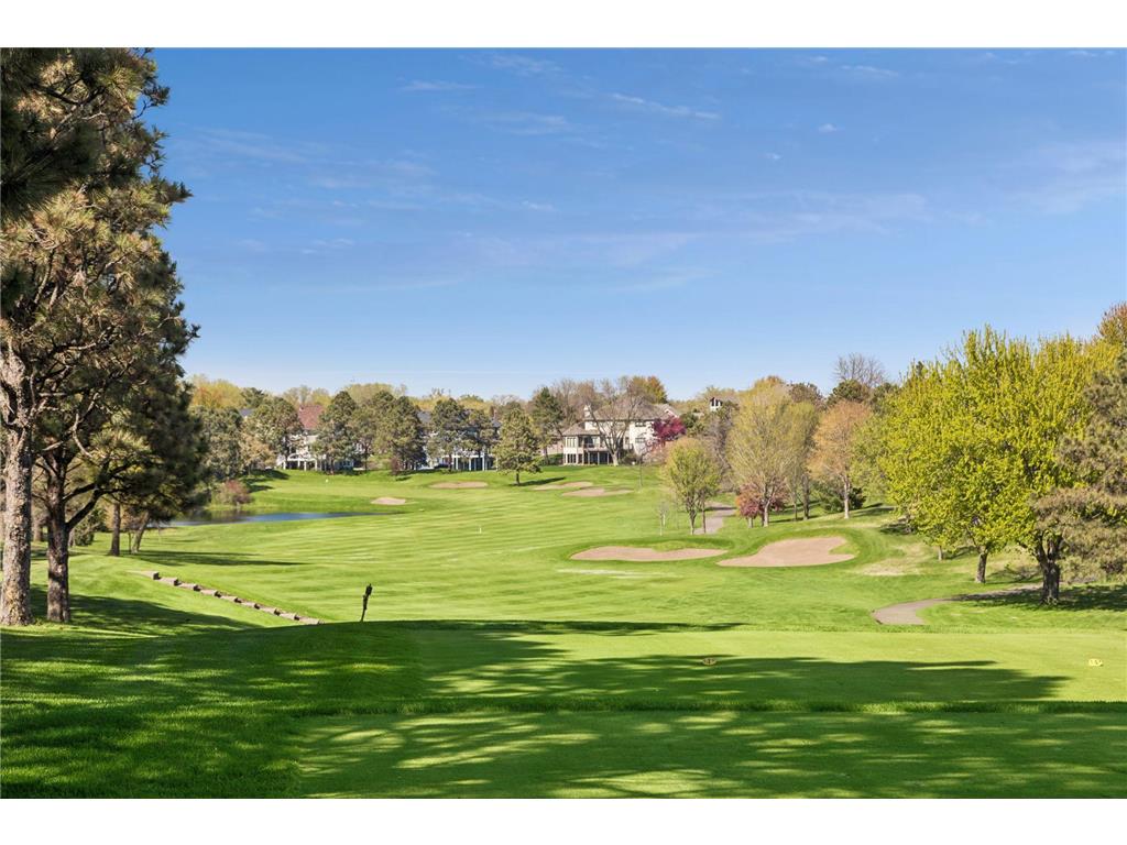 9251 Wedgewood Point Woodbury MN 55125 7068574 image83