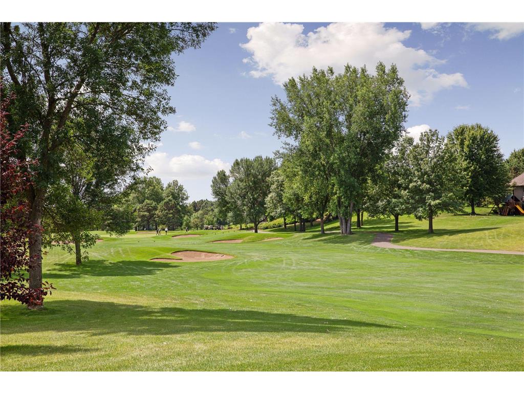 9251 Wedgewood Point Woodbury MN 55125 7068574 image98