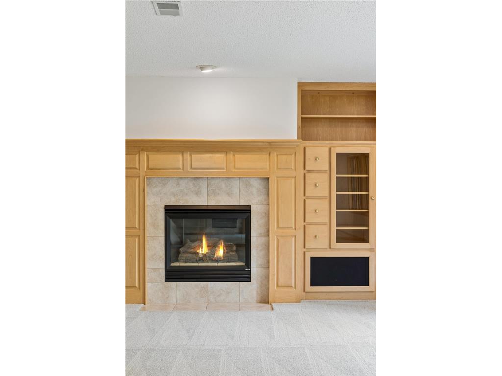 9257 Shetland Road Eden Prairie MN 55347 7104248 image37