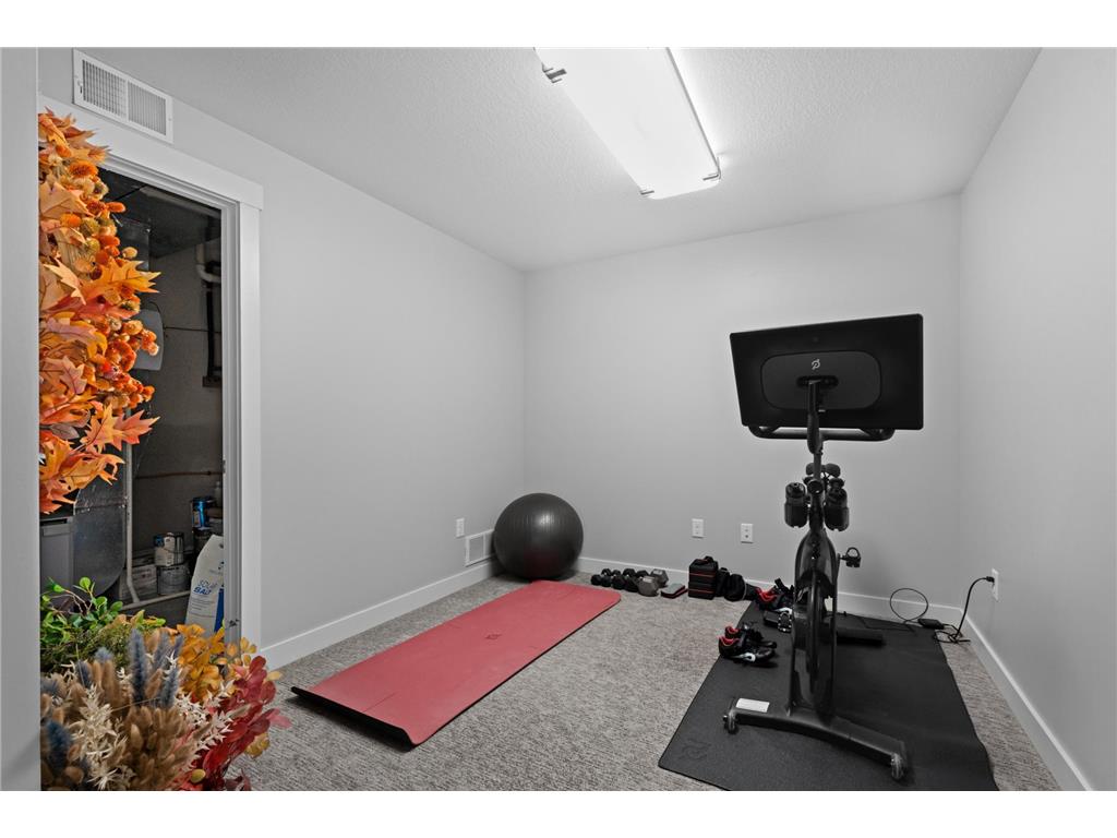 927 Southwell Enclave NE Byron MN 55920 7042549 image39