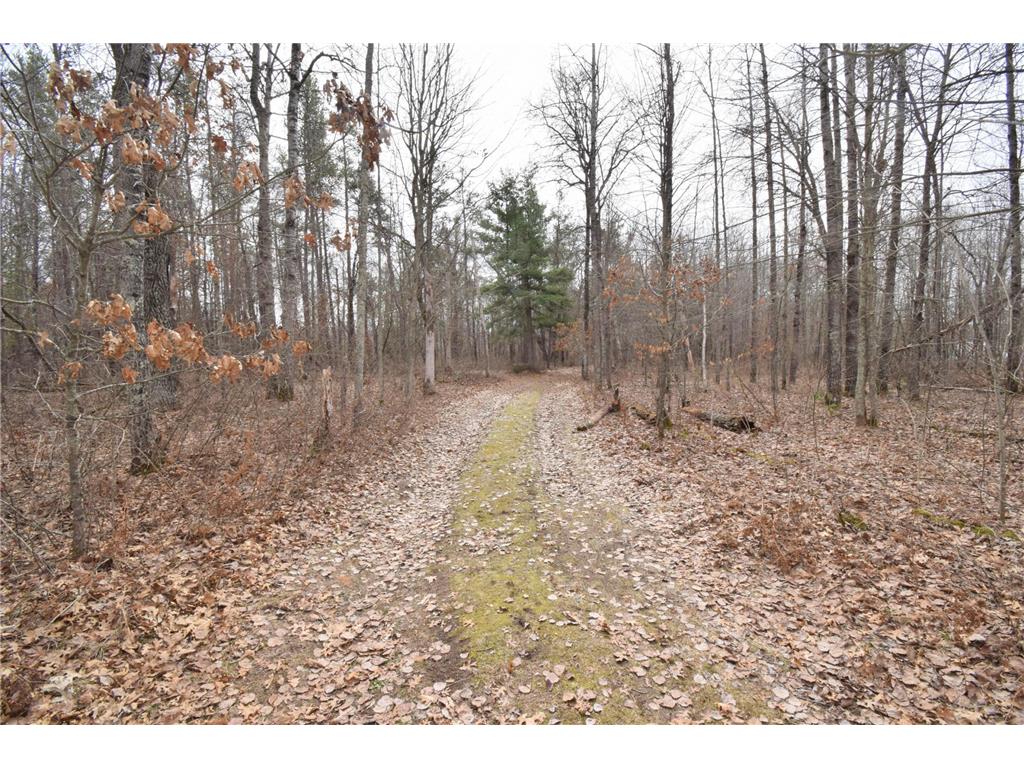 9274 Black Brook Road Lincoln Twp WI 54893 7048855 image27