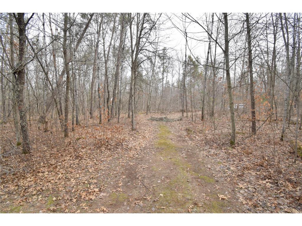 9274 Black Brook Road Lincoln Twp WI 54893 7048855 image38
