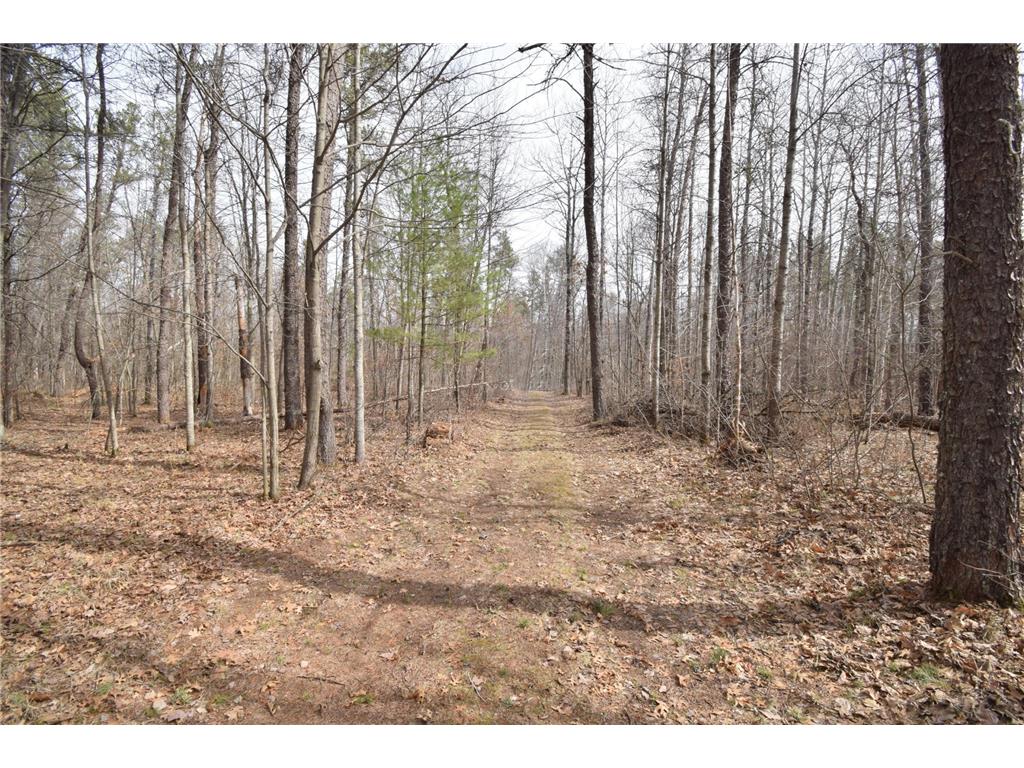 9274 Black Brook Road Lincoln Twp WI 54893 7048855 image41