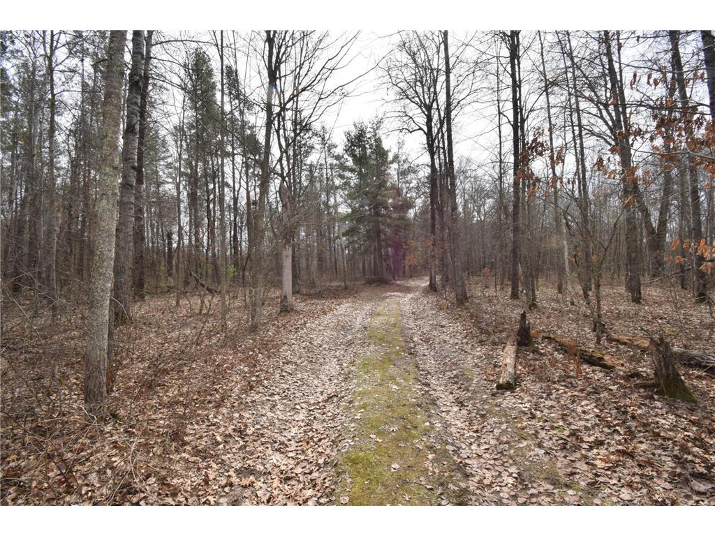 9274 Black Brook Road Lincoln Twp WI 54893 7048855 image43